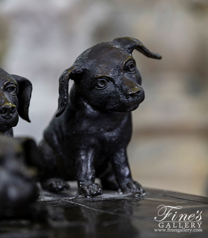 Bronze Statues  - Three Puppies And A Kitten At Play Bronze Statue ( Vintage ) - BS-357