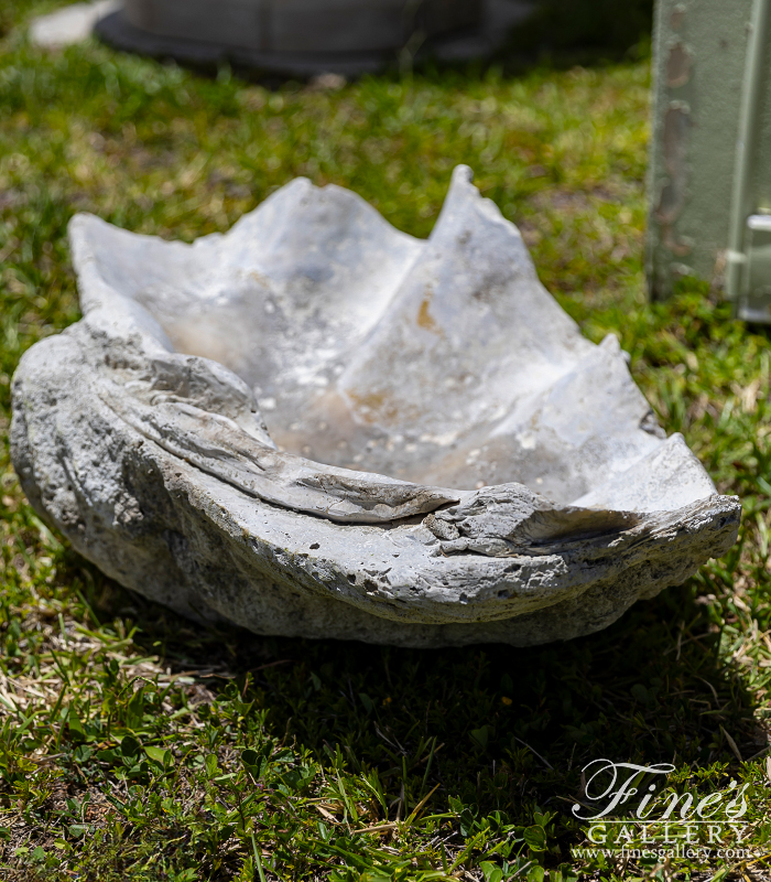 Marble Fountains  - Natural Fossilized Clam Shell - MF-2366