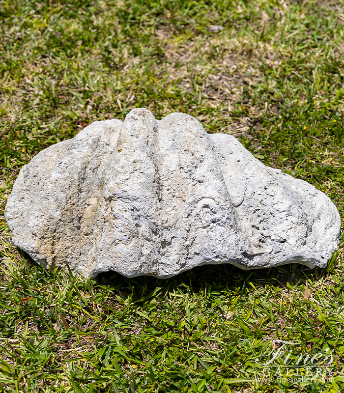 Marble Fountains  - Natural Fossilized Clam Shell - MF-2366