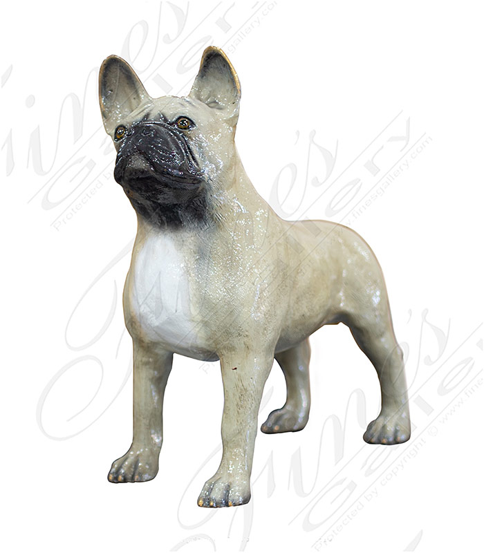 Bronze French Bull Dog