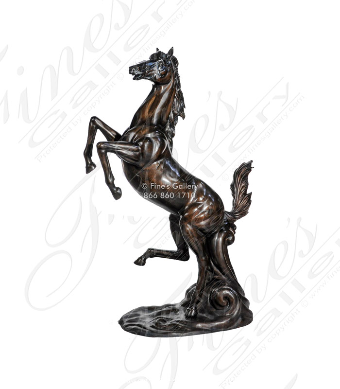 Wild Stallion