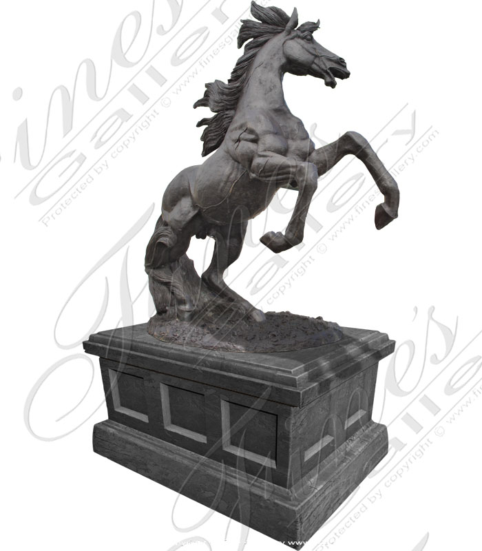 Black Stallion
