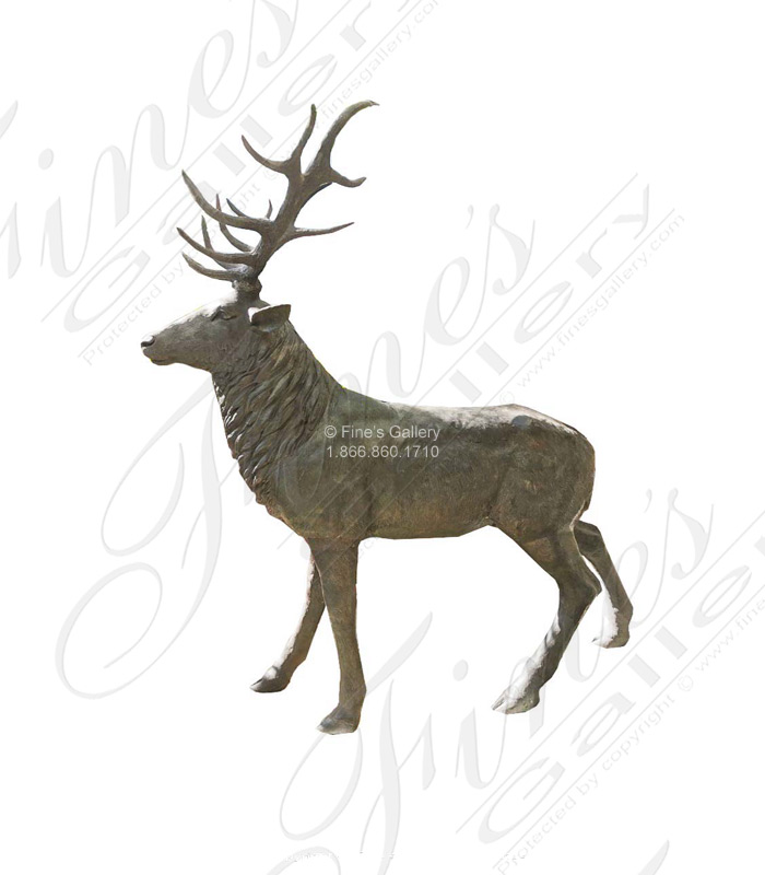Rocky Mountain Elk on the Prowl in Bronze