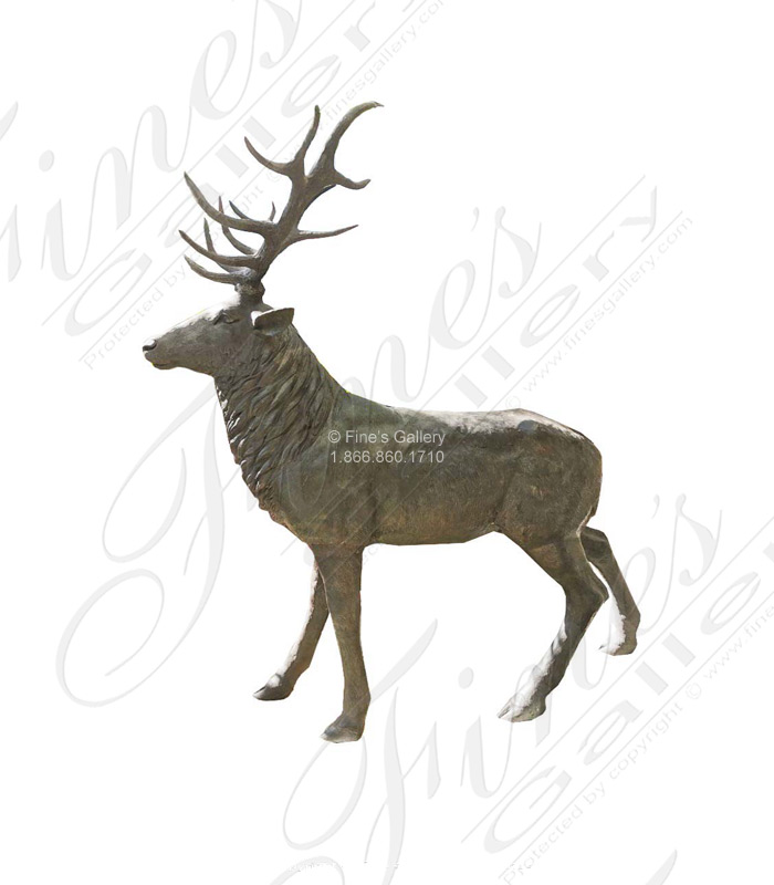 Bronze Statues  - Rocky Mountain Elk On The Prowl In Bronze - BS-1645