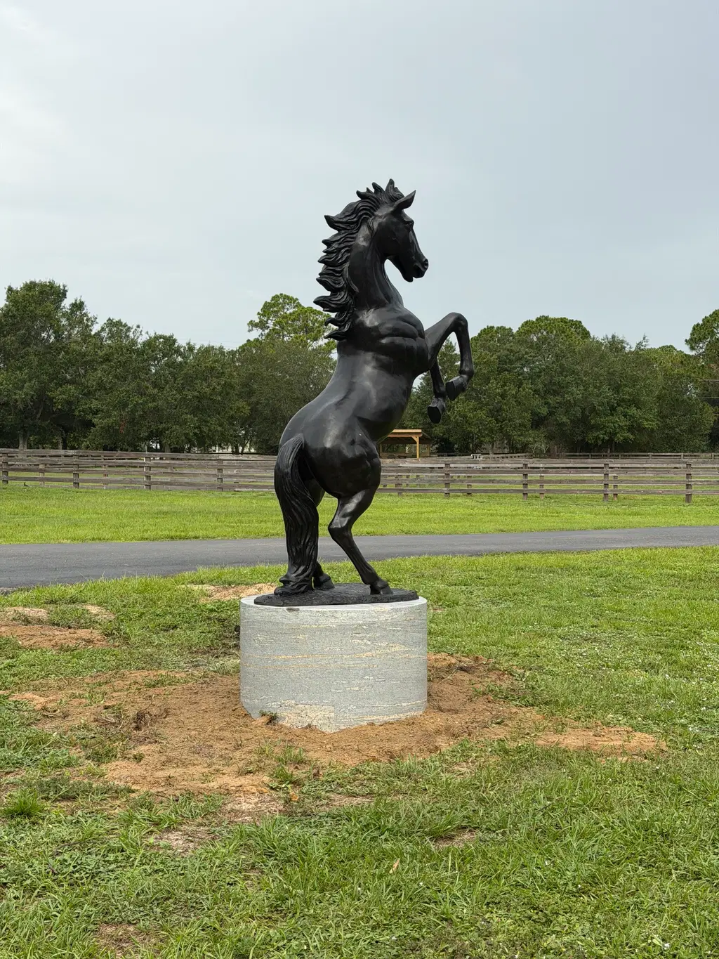 Rearing Bronze Horse on Oversized Griggio Granite Pedestal