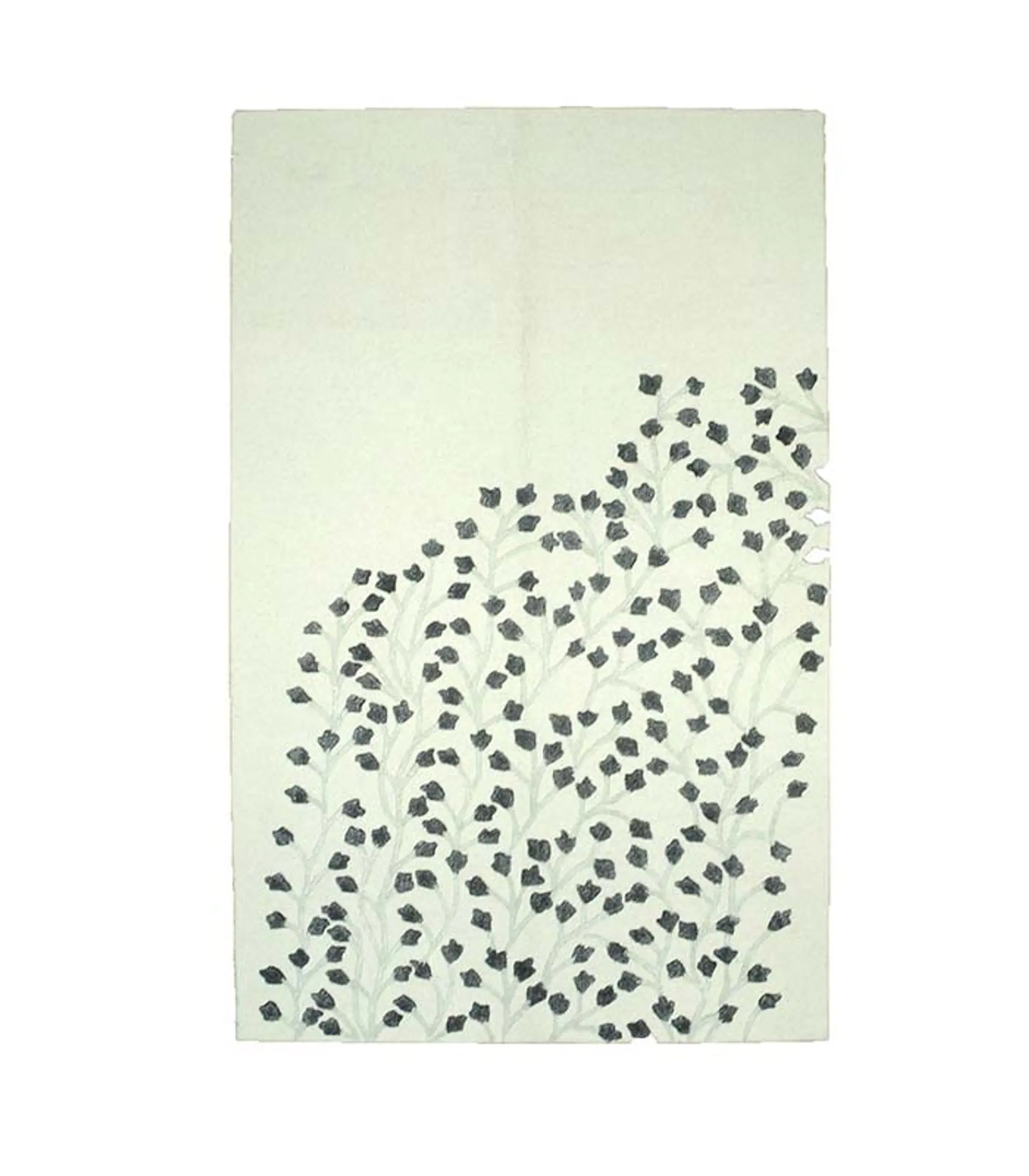 R7559 - main image