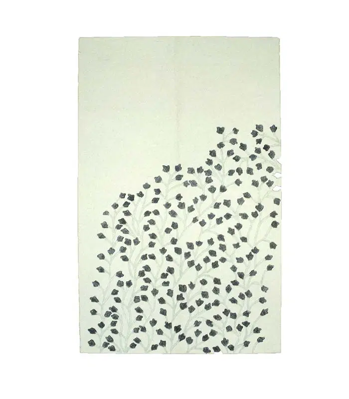 R7559 - main image