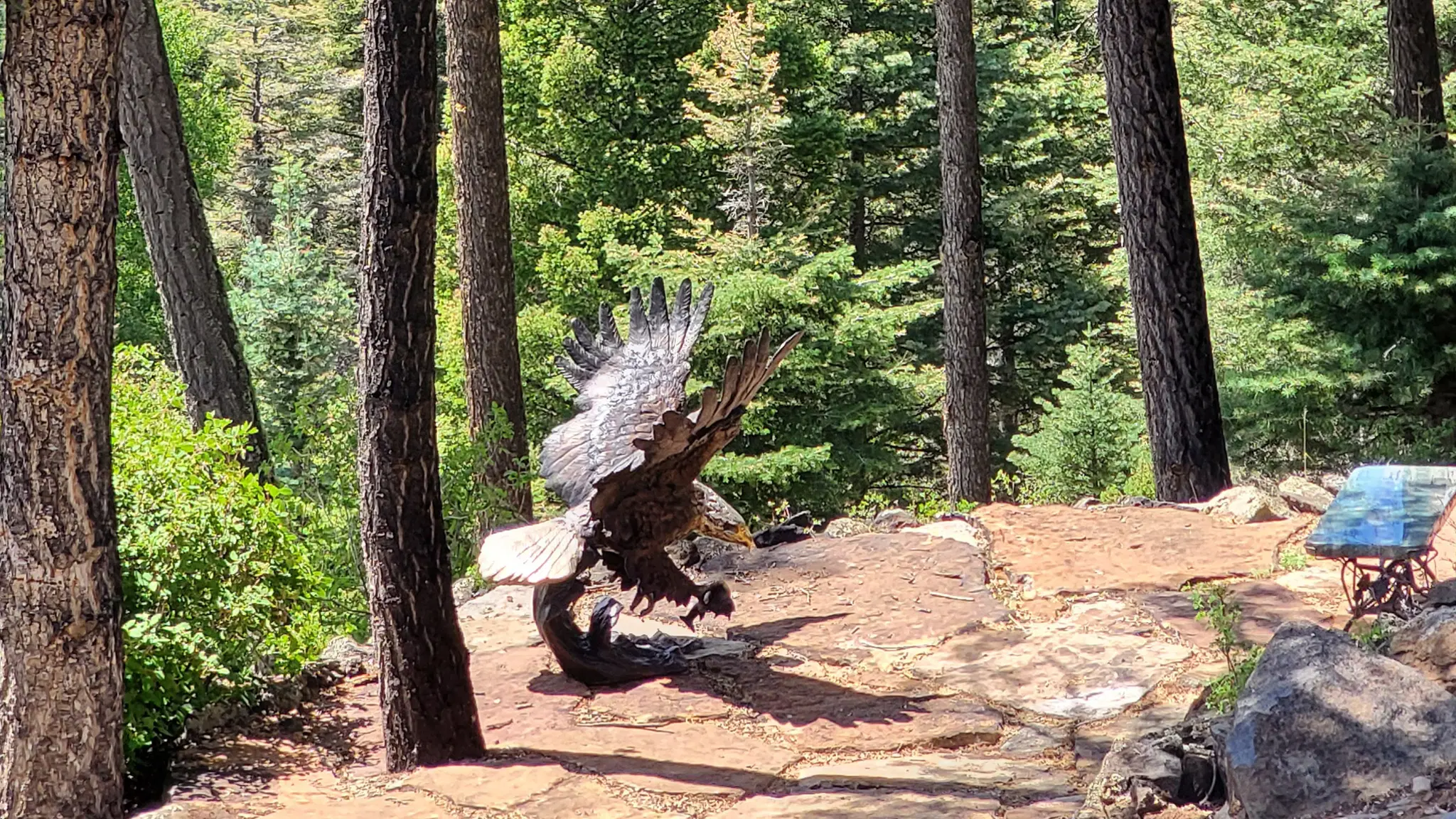 Life Size Bronze Eagle Statue with Brilliant Finish — Model BS-1641 — detail view 4