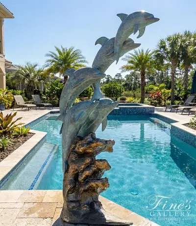5 Jumping Dolphins