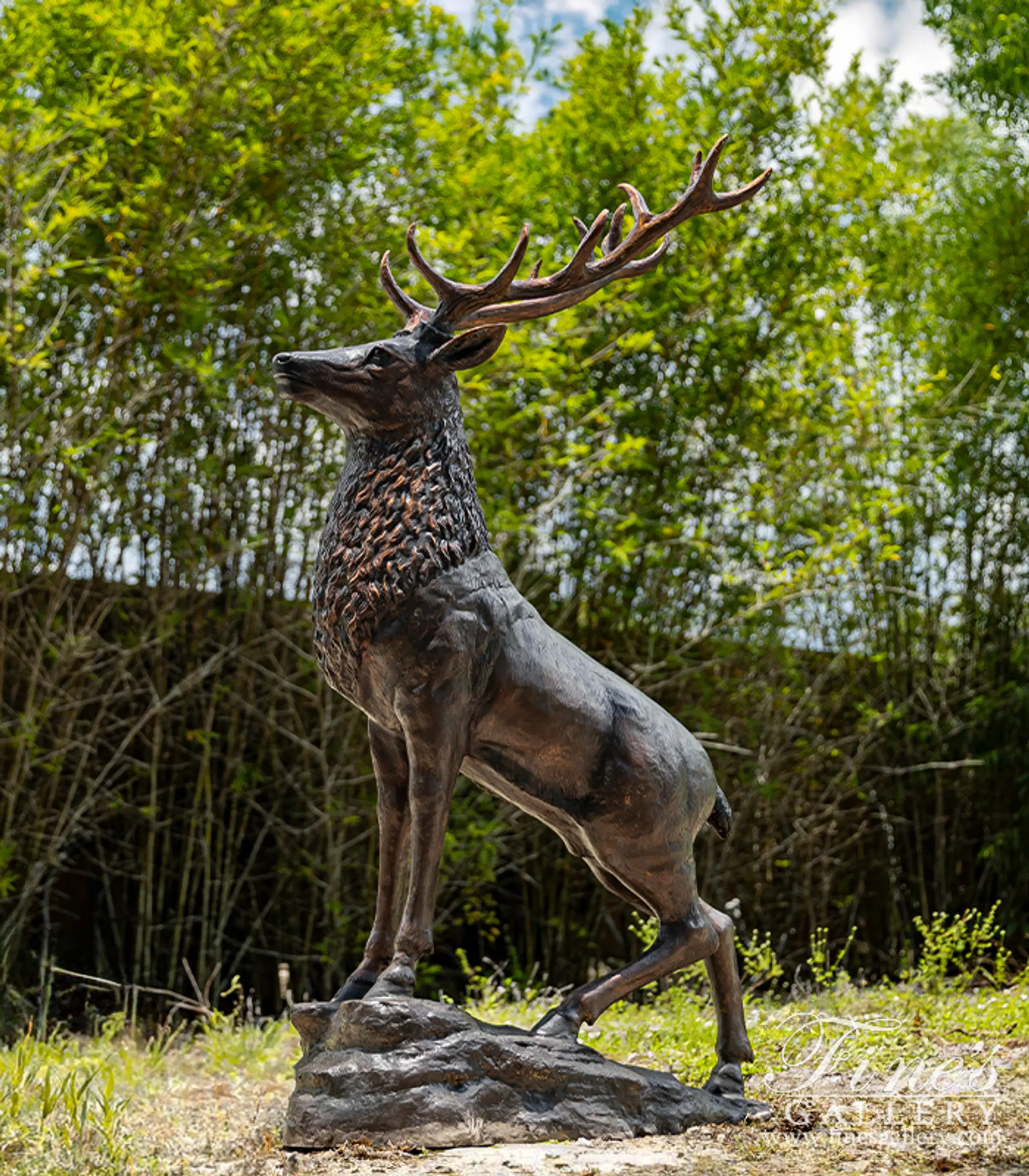 75" Tall Elk Statue in Bronze — Model BS-1783 — Hand-Crafted by Fine's Gallery