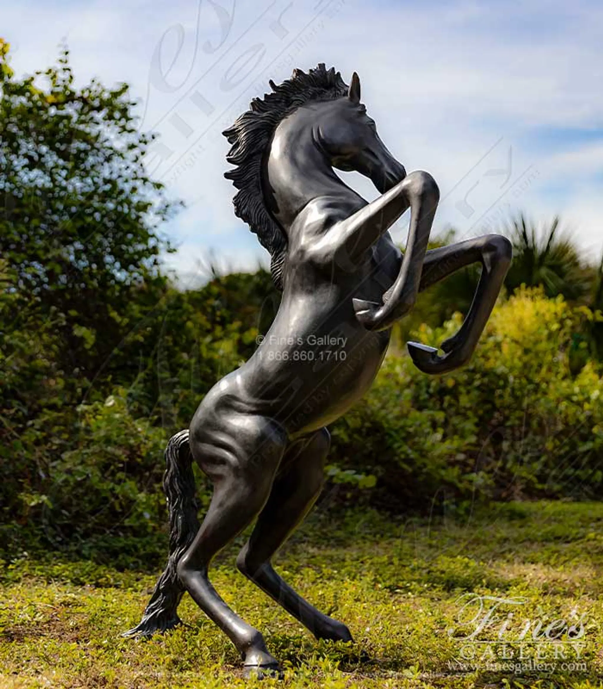 Rearing Horse Bronze Statue