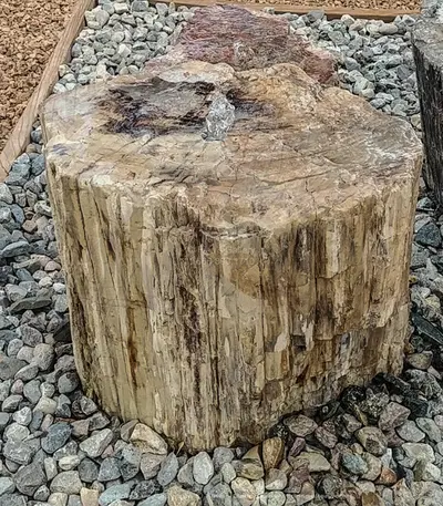 Assortment of Petrified Wood Fountains and Sculptures