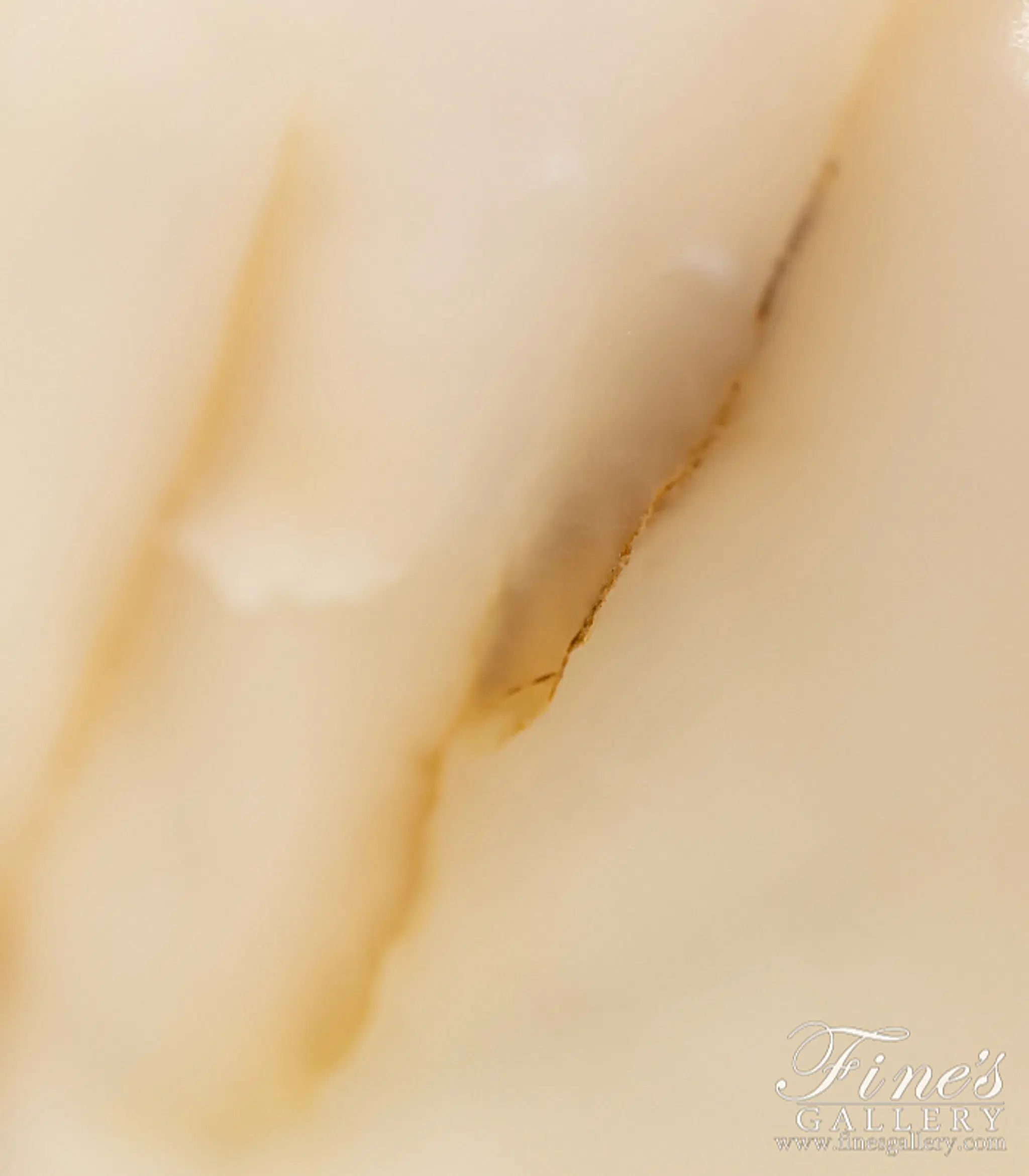 XMFP-1828 - detail image