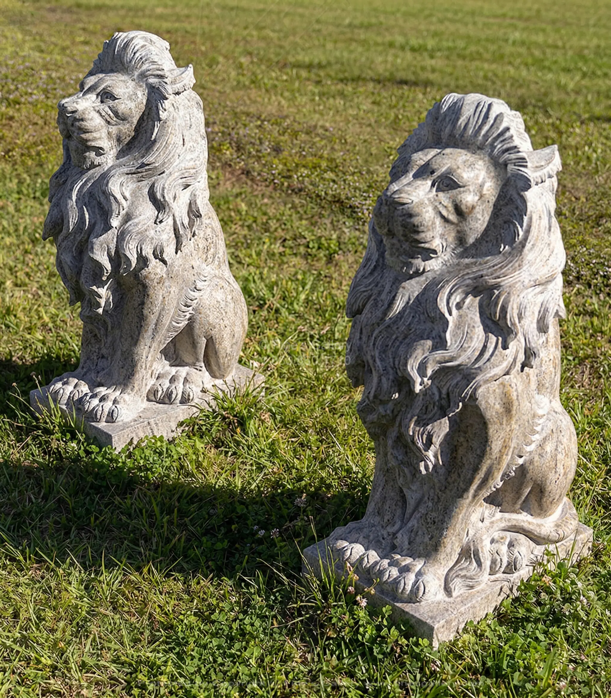 Four Foot Tall Lion Statues in Solid Granite