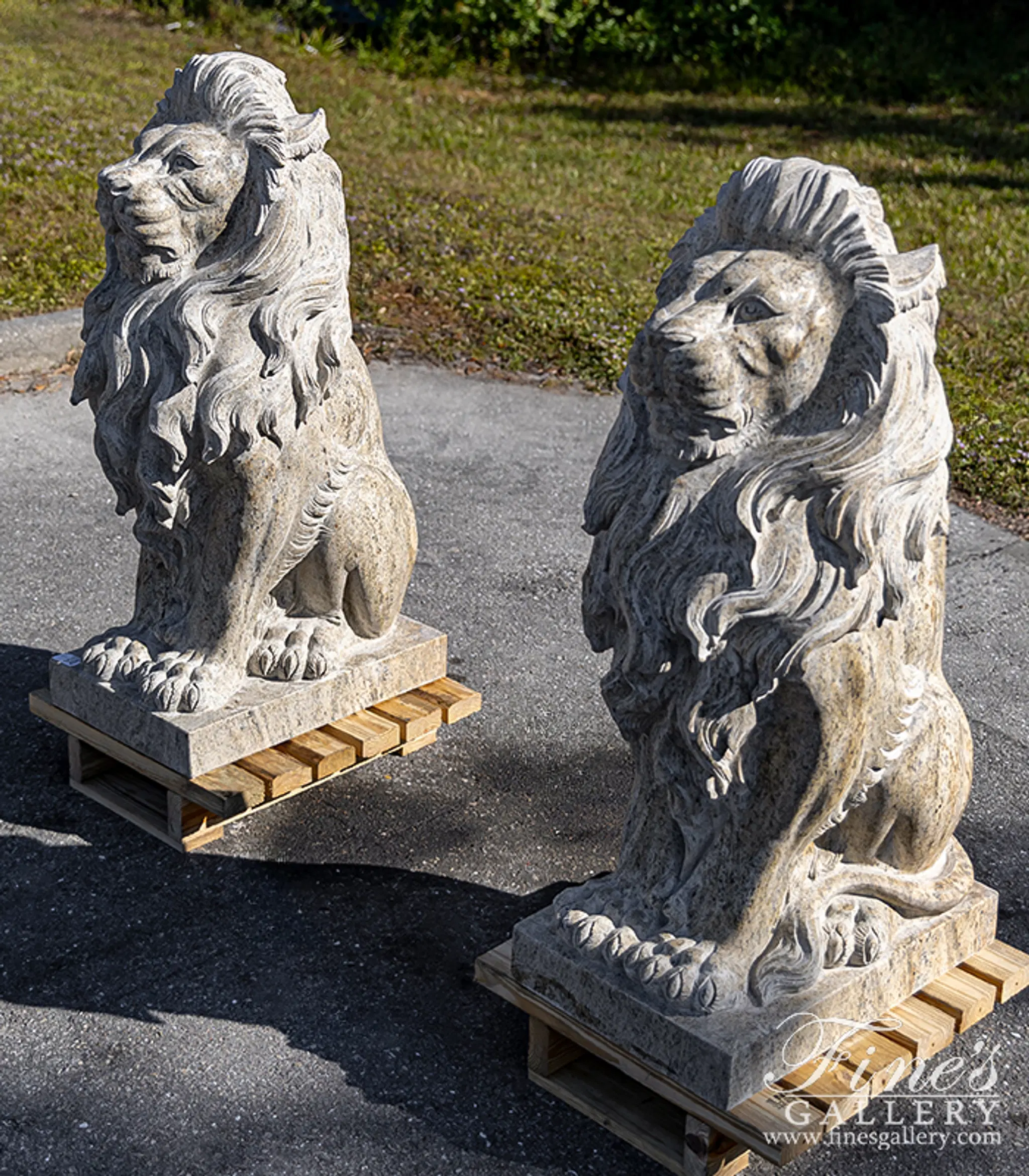 Four Foot Tall Lion Statues in Solid Granite