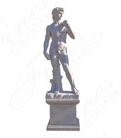 Statue of David in Statuary Marble
