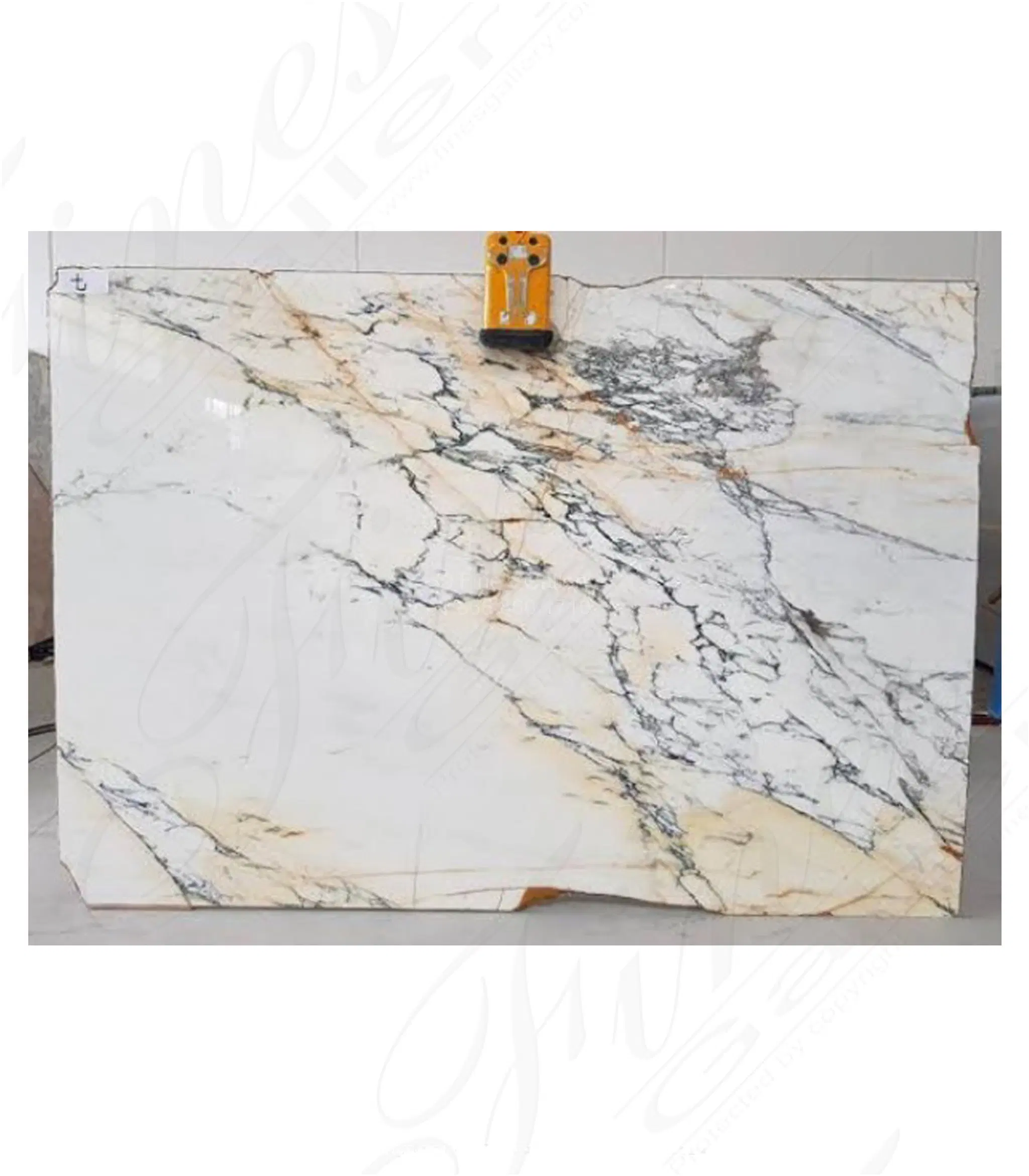 Calacatta Paonazzo Slabs — Model MSLB-020 — Hand-Crafted by Fine's Gallery