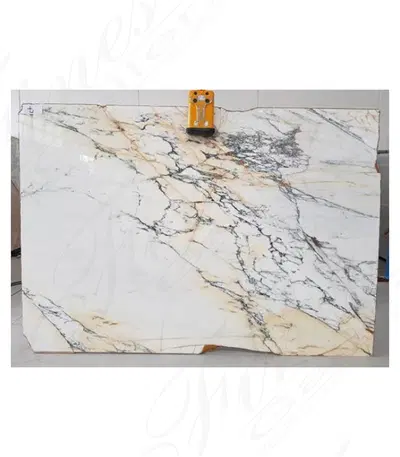 Calacatta Paonazzo Slabs