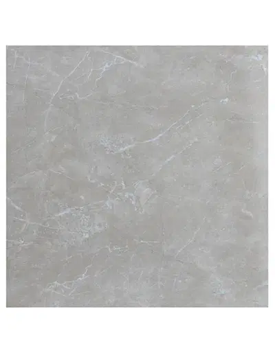 Porcelain Tile PT-06